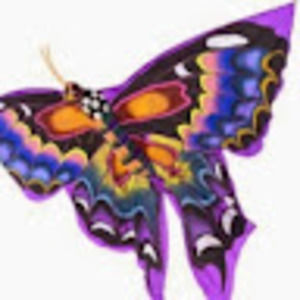 Meet your Posher, January